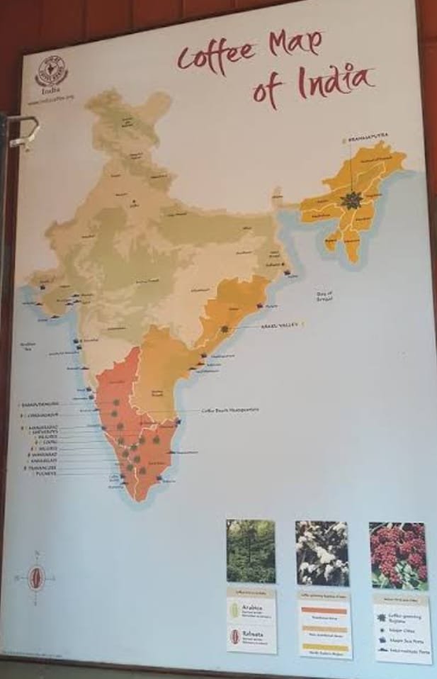 COFFEE RESEARCH CENTRE INDIA